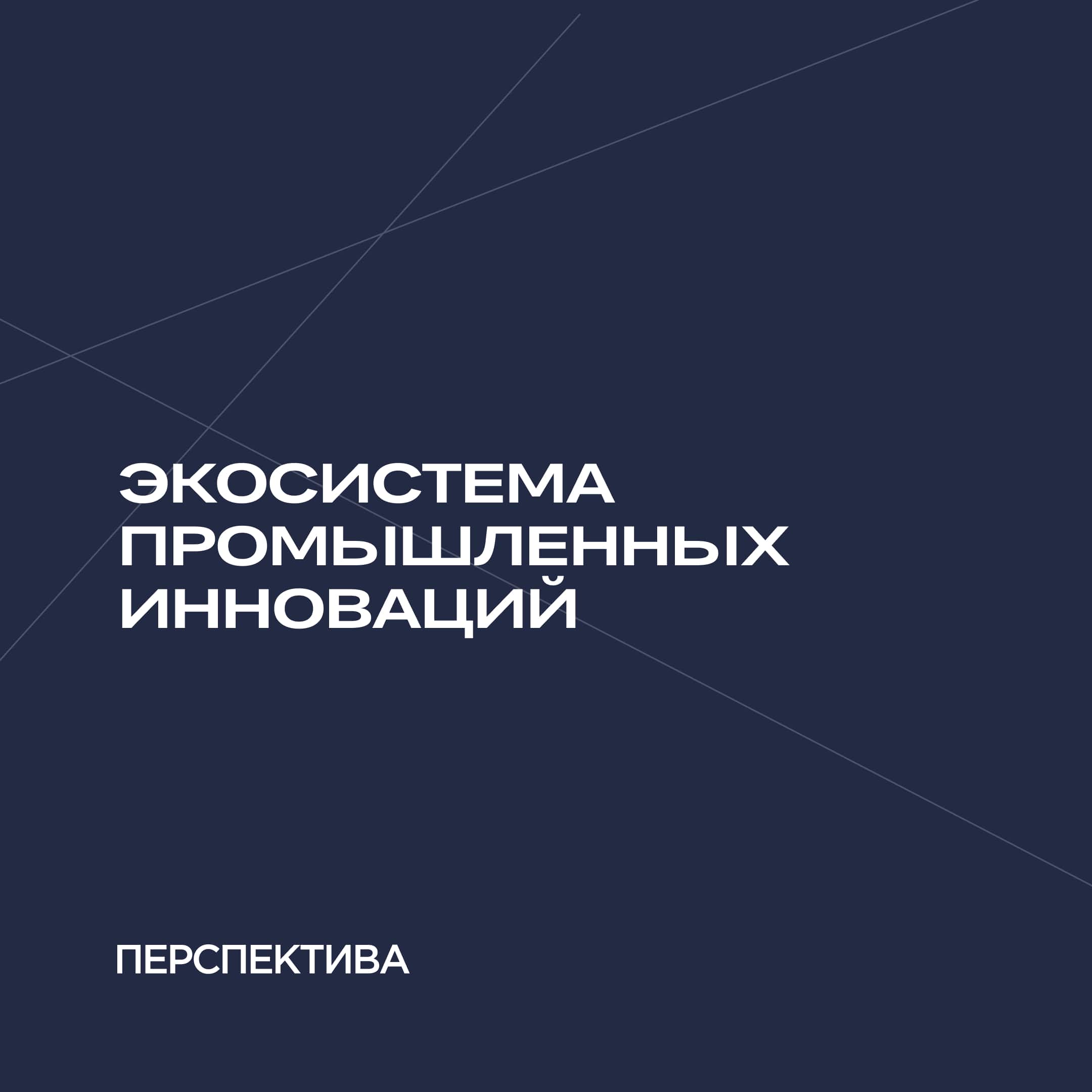 Венчурный фонд Перспектива